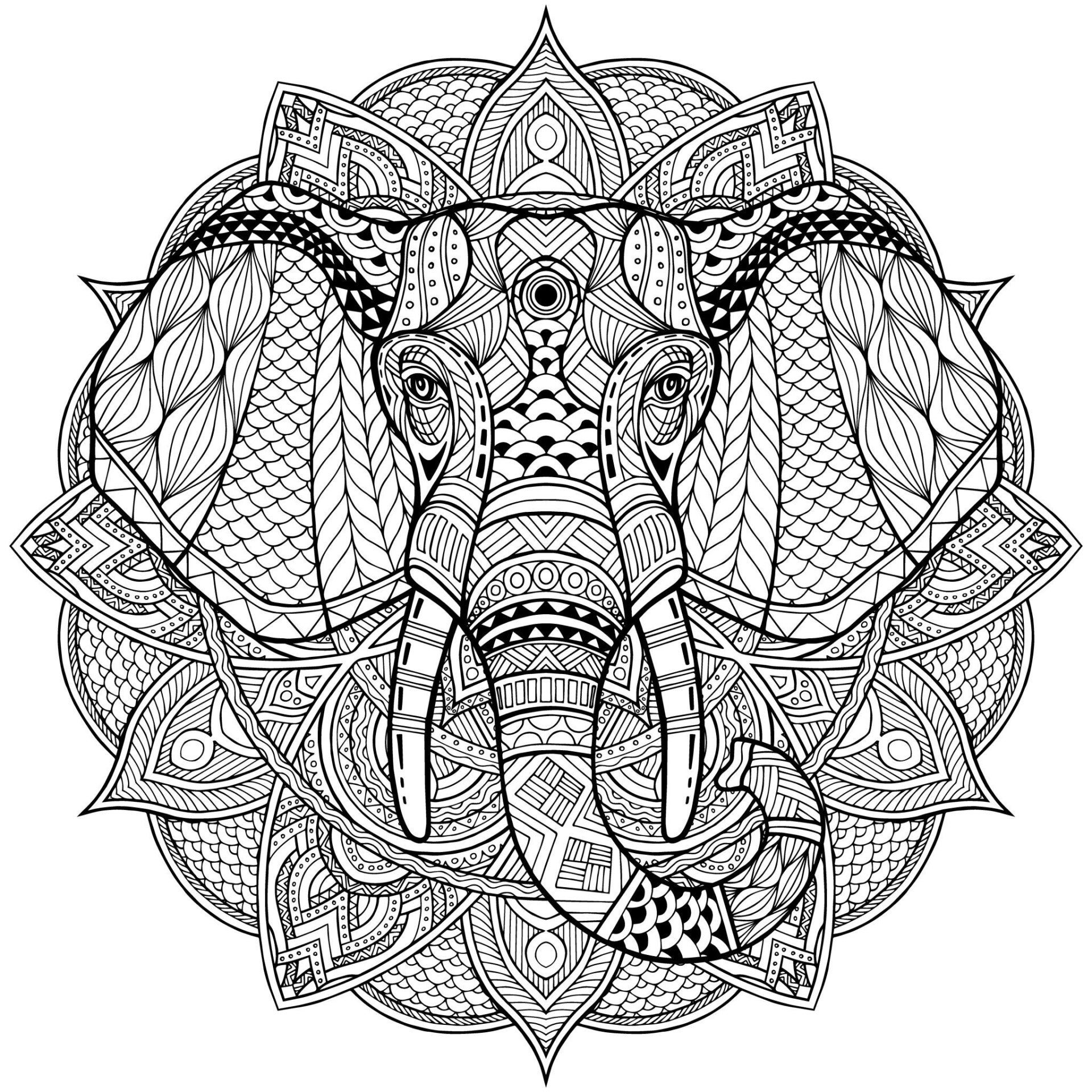 Kleurplaat Mandala olifant — Een indrukwekkende mandala met daarin verwerkt het gezicht van een olifant, compleet met…