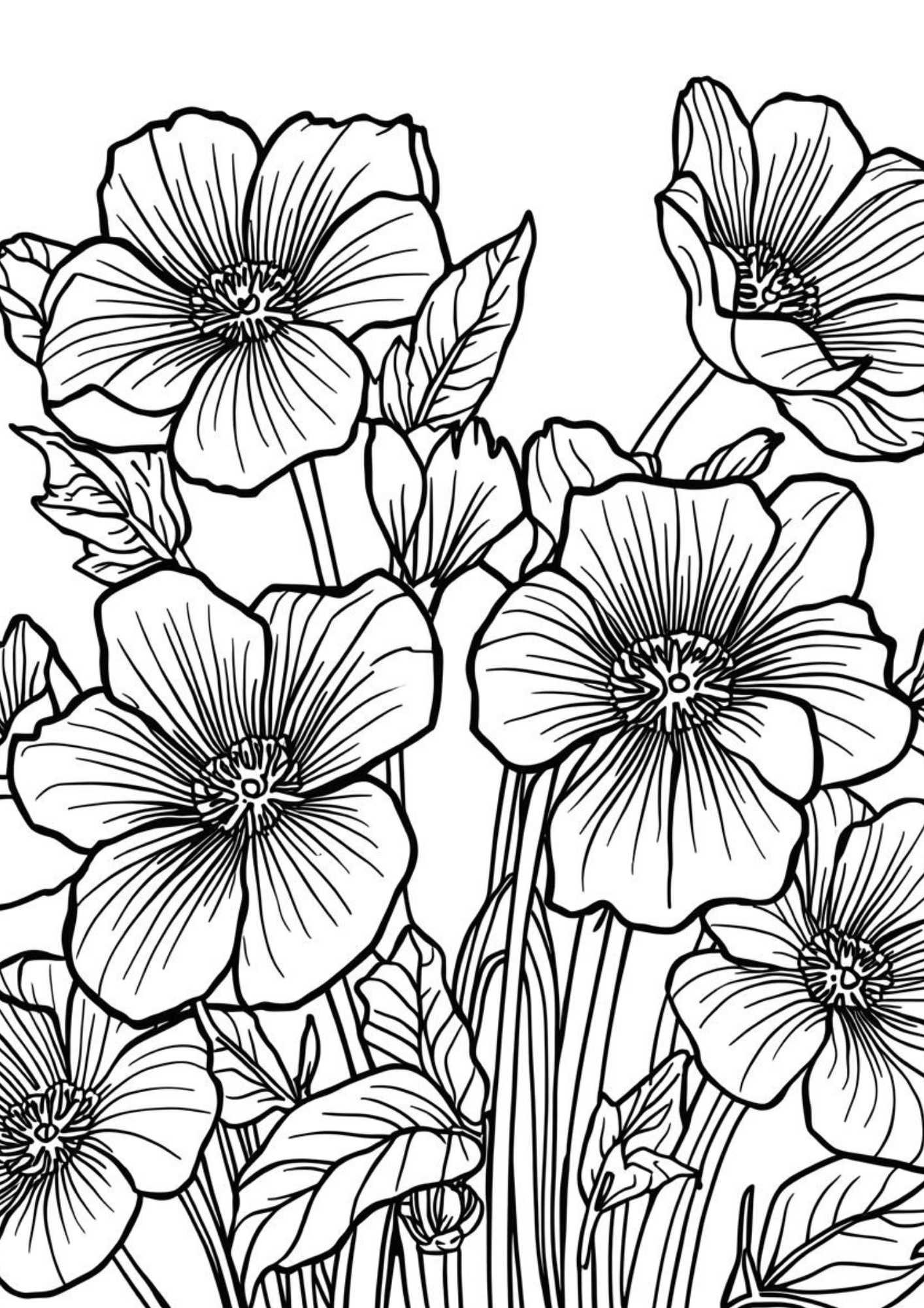 Kleurplaat Volwassenen bloemen 4 — Een weelderige bos klaprozen met brede, geplooide kroonbladen en fijne, stervormige…