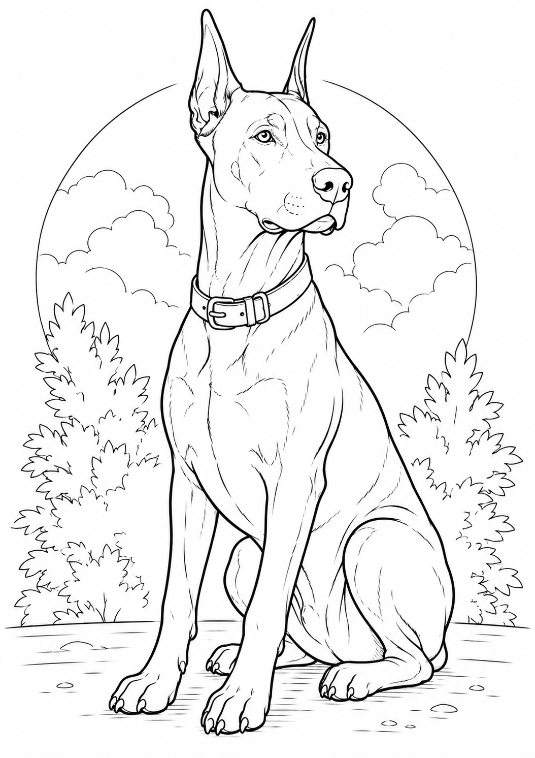 Kleurplaat van een dobermann hond