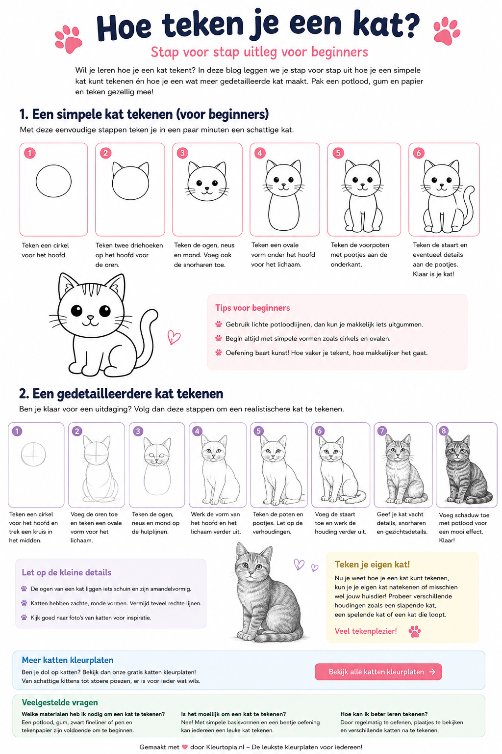 Hoe teken je een kat