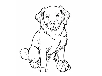 Kleurplaat hond met bal