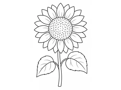 Kleurplaat zonnebloem