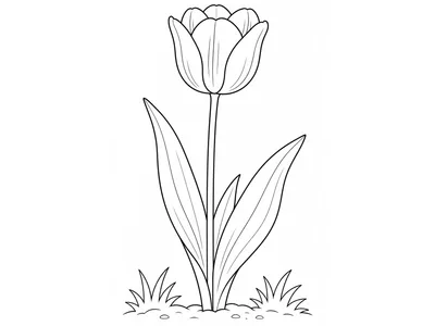 Kleurplaat tulp