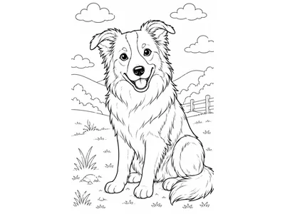 Kleurplaat border collie