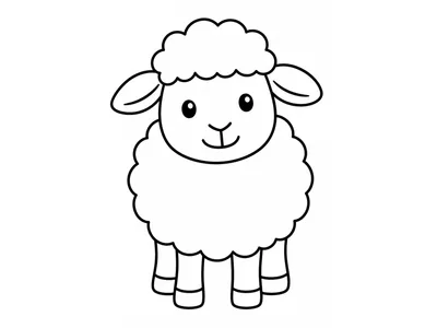 Kleurplaat schaap