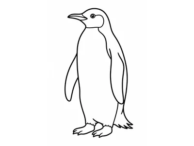 Kleurplaat pinguïn 2